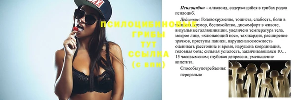 дживик Баксан