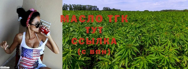 дживик Баксан