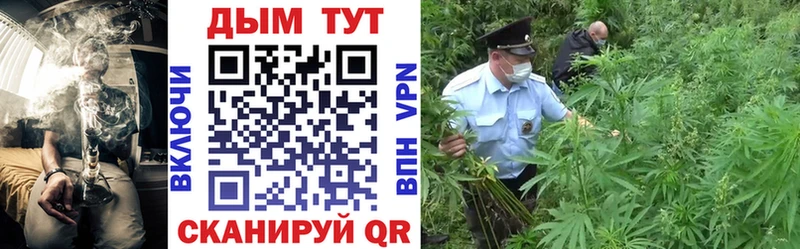 Бошки марихуана THC 21%  блэк спрут ссылка  Грязовец  купить наркотик 